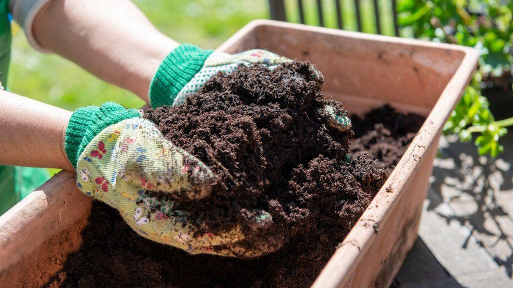 potting mix.jpg