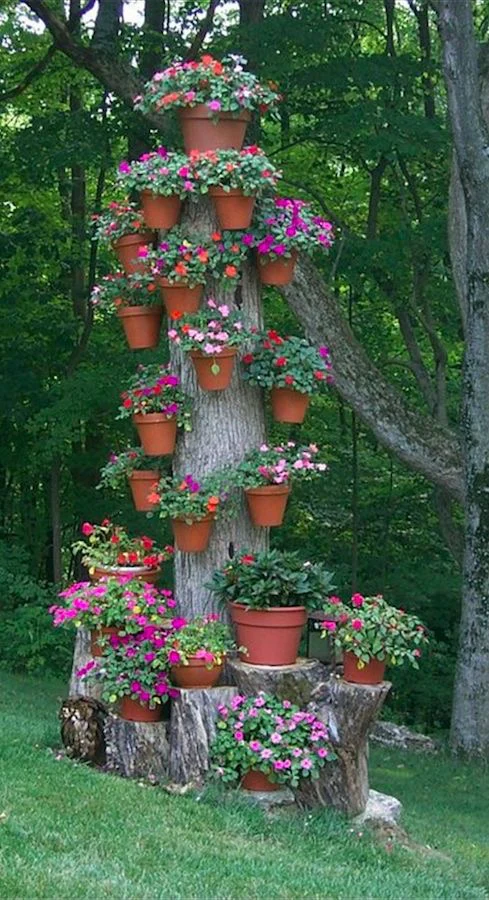 pots.webp