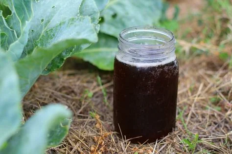 compost-tea-in-a-jar-.webp