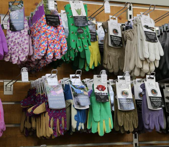 gloves.webp