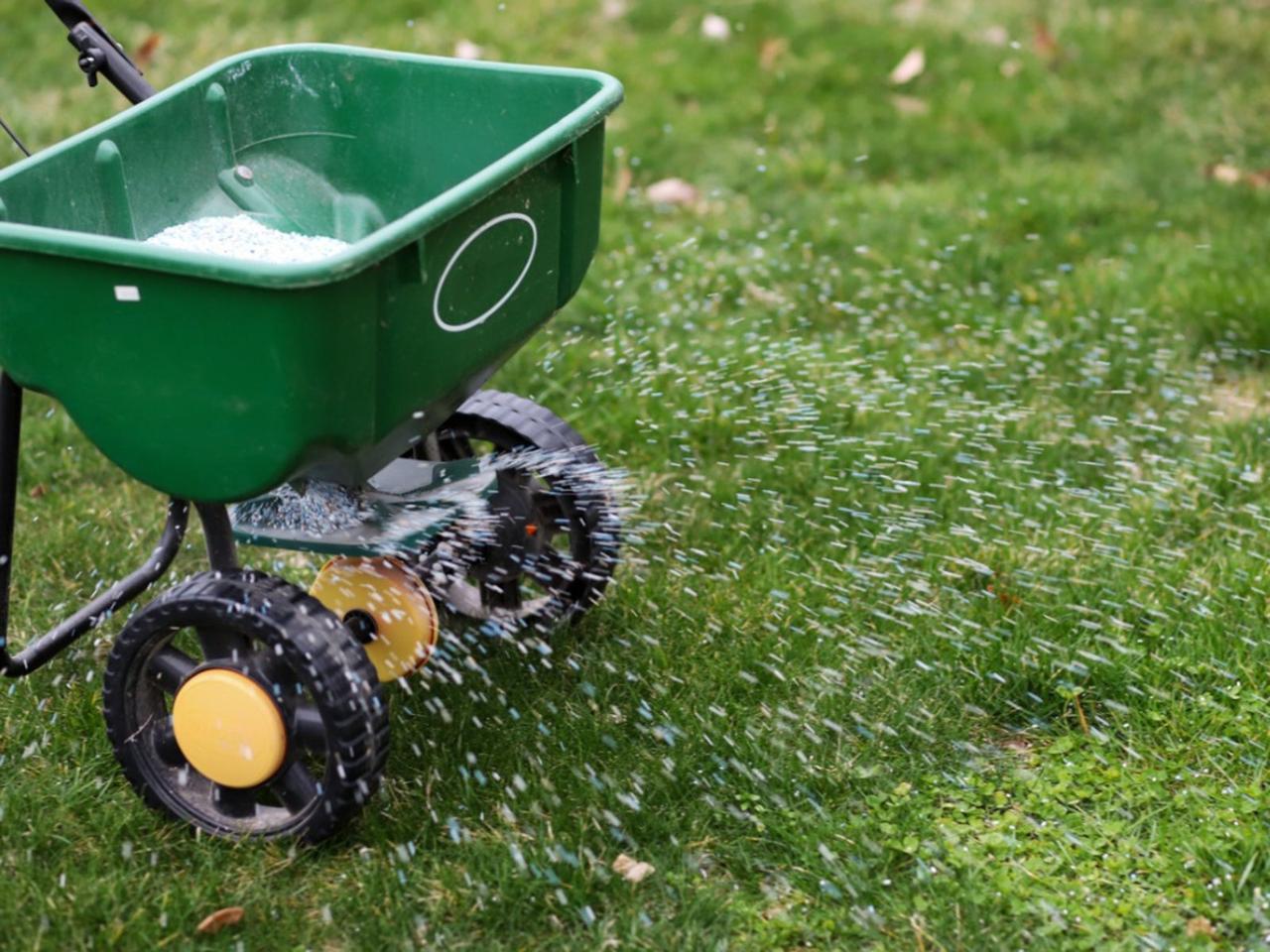 lawn care.jpg